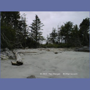1998_200_McMicking_Inlet.jpg