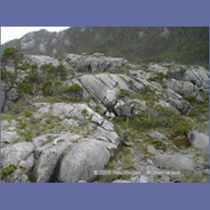 1998_202_McMicking_Inlet.jpg