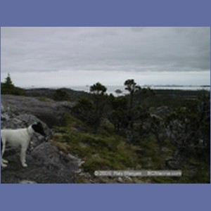 1998_203_McMicking_Inlet.jpg