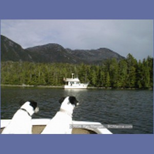 1998_984_McMicking_Inlet.jpg