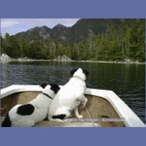 1998_989_McMicking_Inlet.jpg
