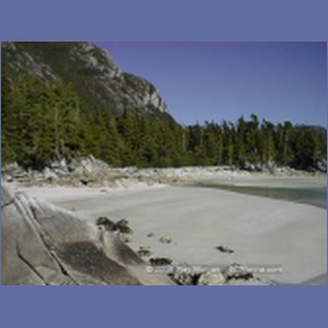2000_401_McMicking_Inlet.jpg