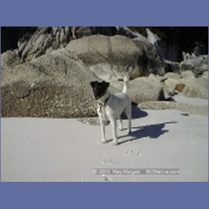 2000_410_McMicking_Inlet.jpg