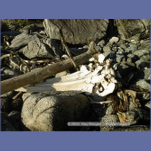 2000_414_McMicking_Inlet.jpg