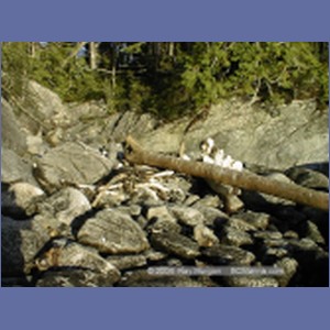 2000_415_McMicking_Inlet.jpg