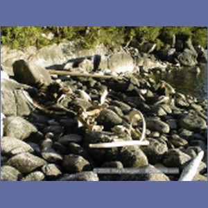 2000_418_McMicking_Inlet.jpg