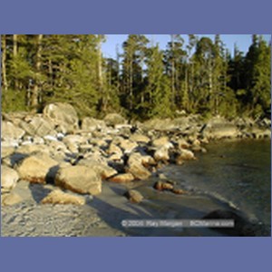 2000_421_McMicking_Inlet.jpg