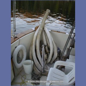 2000_425_McMicking_Inlet.jpg