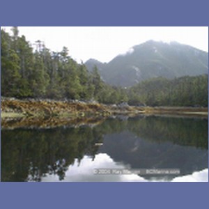 2001_181_McMicking_Inlet_Campania_Island.jpg