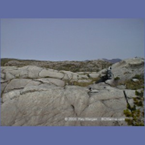 2001_201_McMicking_Inlet_Campania_Island.jpg