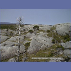 2001_206_McMicking_Inlet_Campania_Island.jpg