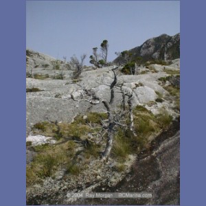 2001_207_McMicking_Inlet_Campania_Island.jpg