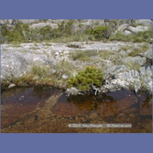 2001_210_McMicking_Inlet_Campania_Island.jpg