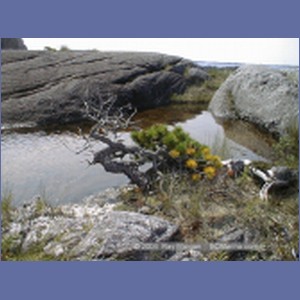 2001_211_McMicking_Inlet_Campania_Island.jpg