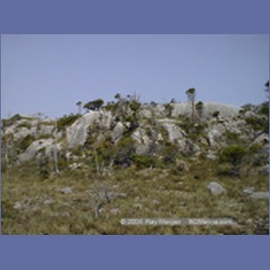 2001_213_McMicking_Inlet_Campania_Island.jpg