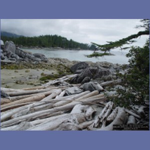 2006_2403_McMicking_Inlet_Campania_Island.JPG