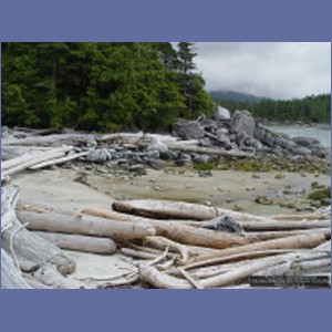 2006_2404_McMicking_Inlet_Campania_Island.JPG
