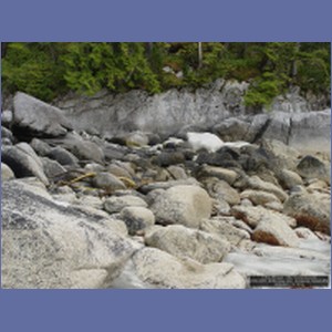2006_2417_McMicking_Inlet_Campania_Island.JPG
