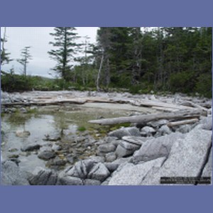 2006_2419_McMicking_Inlet_Campania_Island.JPG