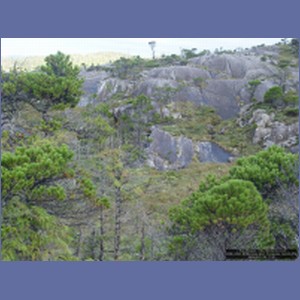 2006_2432_McMicking_Inlet_Campania_Island.JPG
