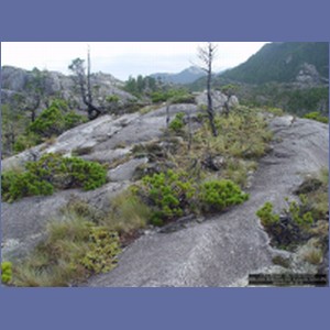 2006_2444_McMicking_Inlet_Campania_Island.JPG