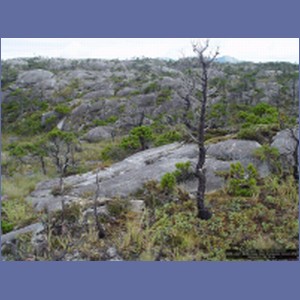 2006_2447_McMicking_Inlet_Campania_Island.JPG
