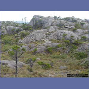2006_2451_McMicking_Inlet_Campania_Island.JPG