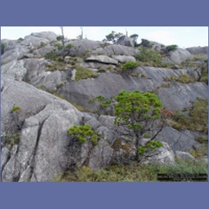 2006_2454_McMicking_Inlet_Campania_Island.JPG