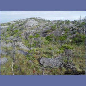 2006_2459_McMicking_Inlet_Campania_Island.JPG