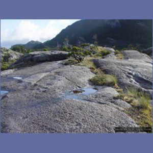 2006_2481_McMicking_Inlet_Campania_Island.JPG