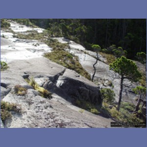 2006_2483_McMicking_Inlet_Campania_Island.JPG