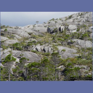 2006_2503_McMicking_Inlet_Campania_Island.JPG