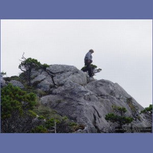 2006_2508_McMicking_Inlet_Campania_Island.JPG
