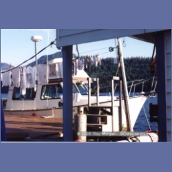 1997_mereworth15b.html