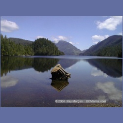 1999_489_Mereworth_Sound.html