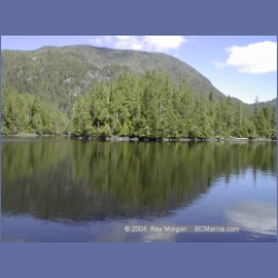 1999_491_Mereworth_Sound.html
