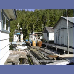2001_050_Mereworth_Sound_Seymour_Inlet.html