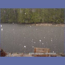 2003_2186_Hailstorm_Mereworth_Sound.html