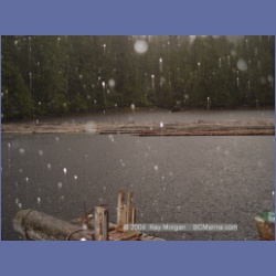 2003_2188_Hailstorm_Mereworth_Sound.html