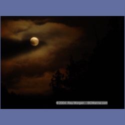 2003_2219_Moon_Mereworth_Sound.html