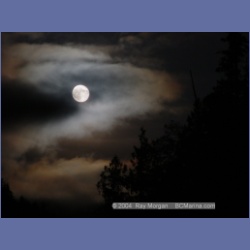 2003_2221_Moon_Mereworth_Sound.html