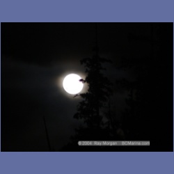 2003_2239_Moon_Mereworth_Sound.html