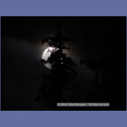 2003_2241_Moon_Mereworth_Sound.html