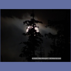 2003_2242_Moon_Mereworth_Sound.html