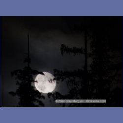 2003_2243_Moon_Mereworth_Sound.html