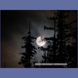 2003_2245_Moon_Mereworth_Sound.html