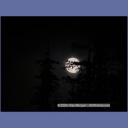 2003_2247_Moon_Mereworth_Sound.html