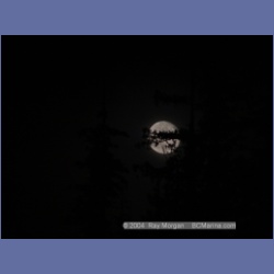 2003_2248_Moon_Mereworth_Sound.html