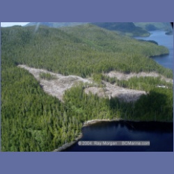2003_2262_Beaver_Mereworth_Sound.html