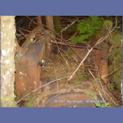 2004_6524_Mereworth_Sound.html